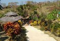 Hill Top Resort в Нгве-Саунг Мьянма ✅. Забронировать номер онлайн по выгодной цене в Hill Top Resort. Трансфер из аэропорта.