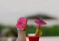 Bay of Bengal Resort - Ngwe Saung в Нгве-Саунг Мьянма ✅. Забронировать номер онлайн по выгодной цене в Bay of Bengal Resort - Ngwe Saung. Трансфер из аэропорта.
