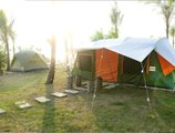 Ocean Front Campgrounds