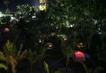 Ocean Front Campgrounds в Нгве-Саунг Мьянма ✅. Забронировать номер онлайн по выгодной цене в Ocean Front Campgrounds. Трансфер из аэропорта.