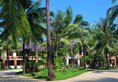 Sunny Paradise Resort в Нгве-Саунг Мьянма ✅. Забронировать номер онлайн по выгодной цене в Sunny Paradise Resort. Трансфер из аэропорта.