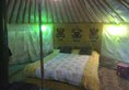 Gana's Guest House and Tours в Улан-Батор Монголия ✅. Забронировать номер онлайн по выгодной цене в Gana's Guest House and Tours. Трансфер из аэропорта.