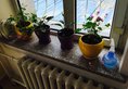 Danista Nomads Tour Hostel в Улан-Батор Монголия ✅. Забронировать номер онлайн по выгодной цене в Danista Nomads Tour Hostel. Трансфер из аэропорта.