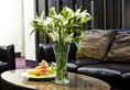 The Corporate Hotel and Convention Centre в Улан-Батор Монголия ✅. Забронировать номер онлайн по выгодной цене в The Corporate Hotel and Convention Centre. Трансфер из аэропорта.