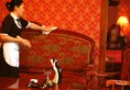 White House Hotel в Улан-Батор Монголия ✅. Забронировать номер онлайн по выгодной цене в White House Hotel. Трансфер из аэропорта.