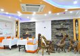 Royal Penguin Boutique Hotel & Spa в Катманду Непал ✅. Забронировать номер онлайн по выгодной цене в Royal Penguin Boutique Hotel & Spa. Трансфер из аэропорта.