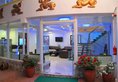 Royal Penguin Boutique Hotel & Spa в Катманду Непал ✅. Забронировать номер онлайн по выгодной цене в Royal Penguin Boutique Hotel & Spa. Трансфер из аэропорта.