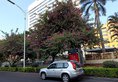 Reethi Rah Hotel Xiamen в Сямынь Китай ✅. Забронировать номер онлайн по выгодной цене в Reethi Rah Hotel Xiamen. Трансфер из аэропорта.