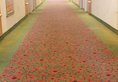 IBIS Railway Station Hotel в Сямынь Китай ✅. Забронировать номер онлайн по выгодной цене в IBIS Railway Station Hotel. Трансфер из аэропорта.