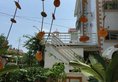 Dora's House Coast Branch в Сямынь Китай ✅. Забронировать номер онлайн по выгодной цене в Dora's House Coast Branch. Трансфер из аэропорта.