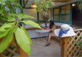 Dora's House Coast Branch в Сямынь Китай ✅. Забронировать номер онлайн по выгодной цене в Dora's House Coast Branch. Трансфер из аэропорта.