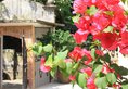 Judy's Inn в Сямынь Китай ✅. Забронировать номер онлайн по выгодной цене в Judy's Inn. Трансфер из аэропорта.