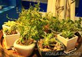 Koala's Youth Home Hostel в Сямынь Китай ✅. Забронировать номер онлайн по выгодной цене в Koala's Youth Home Hostel. Трансфер из аэропорта.