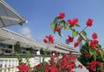 Xiamen International Seaside Hotel в Сямынь Китай ✅. Забронировать номер онлайн по выгодной цене в Xiamen International Seaside Hotel. Трансфер из аэропорта.