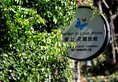 Gulangyu Aishang Garden Hotel в Сямынь Китай ✅. Забронировать номер онлайн по выгодной цене в Gulangyu Aishang Garden Hotel. Трансфер из аэропорта.