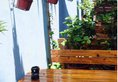Xiamen Wake Up Naturally Inn в Сямынь Китай ✅. Забронировать номер онлайн по выгодной цене в Xiamen Wake Up Naturally Inn. Трансфер из аэропорта.