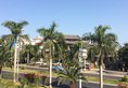 Xiamen Lovely Bay Hotel в Сямынь Китай ✅. Забронировать номер онлайн по выгодной цене в Xiamen Lovely Bay Hotel. Трансфер из аэропорта.