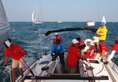 Xiamen Fengshui Sailing Club & Resort в Сямынь Китай ✅. Забронировать номер онлайн по выгодной цене в Xiamen Fengshui Sailing Club & Resort. Трансфер из аэропорта.