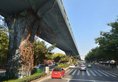 Xiamen Shuyue Hotel в Сямынь Китай ✅. Забронировать номер онлайн по выгодной цене в Xiamen Shuyue Hotel. Трансфер из аэропорта.