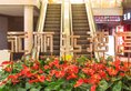 Yonglida Garden Hotel в Сямынь Китай ✅. Забронировать номер онлайн по выгодной цене в Yonglida Garden Hotel. Трансфер из аэропорта.