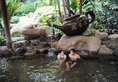 Riyuegu Hotsprings Resort в Сямынь Китай ✅. Забронировать номер онлайн по выгодной цене в Riyuegu Hotsprings Resort. Трансфер из аэропорта.