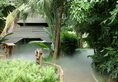 Riyuegu Hotsprings Resort в Сямынь Китай ✅. Забронировать номер онлайн по выгодной цене в Riyuegu Hotsprings Resort. Трансфер из аэропорта.