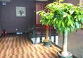 Xiamen Free Space Chain Hotel в Сямынь Китай ✅. Забронировать номер онлайн по выгодной цене в Xiamen Free Space Chain Hotel. Трансфер из аэропорта.