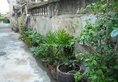 Xiamen Gu Xiang Bie Yuan Hostel в Сямынь Китай ✅. Забронировать номер онлайн по выгодной цене в Xiamen Gu Xiang Bie Yuan Hostel. Трансфер из аэропорта.