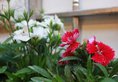 Xiamen Gu Xiang Bie Yuan Hostel в Сямынь Китай ✅. Забронировать номер онлайн по выгодной цене в Xiamen Gu Xiang Bie Yuan Hostel. Трансфер из аэропорта.