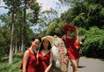 Xiamen Wall Inn в Сямынь Китай ✅. Забронировать номер онлайн по выгодной цене в Xiamen Wall Inn. Трансфер из аэропорта.