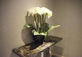Paco Business Hotel Ouzhuang Metro Station Branch в Гуанчжоу Китай ✅. Забронировать номер онлайн по выгодной цене в Paco Business Hotel Ouzhuang Metro Station Branch. Трансфер из аэропорта.
