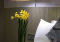 Paco Business Hotel Guangzhou Tianpingjia Metro Branch в Гуанчжоу Китай ✅. Забронировать номер онлайн по выгодной цене в Paco Business Hotel Guangzhou Tianpingjia Metro Branch. Трансфер из аэропорта.