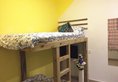 Guangzhou Koala's Youth Hostel в Гуанчжоу Китай ✅. Забронировать номер онлайн по выгодной цене в Guangzhou Koala's Youth Hostel. Трансфер из аэропорта.