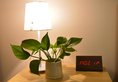 Xizhengjia Apartment Hotel Pazhou Complex в Гуанчжоу Китай ✅. Забронировать номер онлайн по выгодной цене в Xizhengjia Apartment Hotel Pazhou Complex. Трансфер из аэропорта.