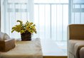 Xizhengjia Apartment Hotel Pazhou Complex в Гуанчжоу Китай ✅. Забронировать номер онлайн по выгодной цене в Xizhengjia Apartment Hotel Pazhou Complex. Трансфер из аэропорта.