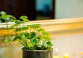 Xizhengjia Apartment Hotel Pazhou Complex в Гуанчжоу Китай ✅. Забронировать номер онлайн по выгодной цене в Xizhengjia Apartment Hotel Pazhou Complex. Трансфер из аэропорта.