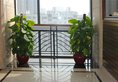 Guangzhou Bontai ApartHotel в Гуанчжоу Китай ✅. Забронировать номер онлайн по выгодной цене в Guangzhou Bontai ApartHotel. Трансфер из аэропорта.