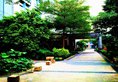 Guangzhou Bontai ApartHotel в Гуанчжоу Китай ✅. Забронировать номер онлайн по выгодной цене в Guangzhou Bontai ApartHotel. Трансфер из аэропорта.