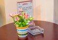 Jie Song Business Hotel в Гуанчжоу Китай ✅. Забронировать номер онлайн по выгодной цене в Jie Song Business Hotel. Трансфер из аэропорта.