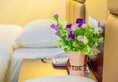 Jie Song Business Hotel в Гуанчжоу Китай ✅. Забронировать номер онлайн по выгодной цене в Jie Song Business Hotel. Трансфер из аэропорта.