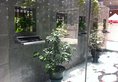 XingHe Hotel - Guangzhou Railway Station Branch в Гуанчжоу Китай ✅. Забронировать номер онлайн по выгодной цене в XingHe Hotel - Guangzhou Railway Station Branch. Трансфер из аэропорта.
