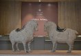 Guangzhou City Join Hotel Shipai Qiao Branch в Гуанчжоу Китай ✅. Забронировать номер онлайн по выгодной цене в Guangzhou City Join Hotel Shipai Qiao Branch. Трансфер из аэропорта.