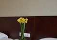Paco Business Hotel Guangzhou Jiangtai Road в Гуанчжоу Китай ✅. Забронировать номер онлайн по выгодной цене в Paco Business Hotel Guangzhou Jiangtai Road. Трансфер из аэропорта.