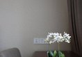 Paco Business Hotel Guangzhou Jiangtai Road в Гуанчжоу Китай ✅. Забронировать номер онлайн по выгодной цене в Paco Business Hotel Guangzhou Jiangtai Road. Трансфер из аэропорта.