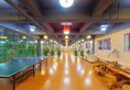 Euro Garden Hotel Guangzhou в Гуанчжоу Китай ✅. Забронировать номер онлайн по выгодной цене в Euro Garden Hotel Guangzhou. Трансфер из аэропорта.