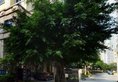 Guangzhou Yiyuan Apartment в Гуанчжоу Китай ✅. Забронировать номер онлайн по выгодной цене в Guangzhou Yiyuan Apartment. Трансфер из аэропорта.