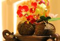 Guangzhou Masia Hotel в Гуанчжоу Китай ✅. Забронировать номер онлайн по выгодной цене в Guangzhou Masia Hotel. Трансфер из аэропорта.