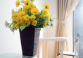Times YOU Apartment в Гуанчжоу Китай ✅. Забронировать номер онлайн по выгодной цене в Times YOU Apartment. Трансфер из аэропорта.