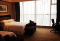 Chuanghui Business Hotel в Гуанчжоу Китай ✅. Забронировать номер онлайн по выгодной цене в Chuanghui Business Hotel. Трансфер из аэропорта.