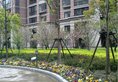 Lanson Place Jin Qiao Residence в Шанхай Китай ✅. Забронировать номер онлайн по выгодной цене в Lanson Place Jin Qiao Residence. Трансфер из аэропорта.